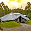 Discovery Parks - Cradle Mountain