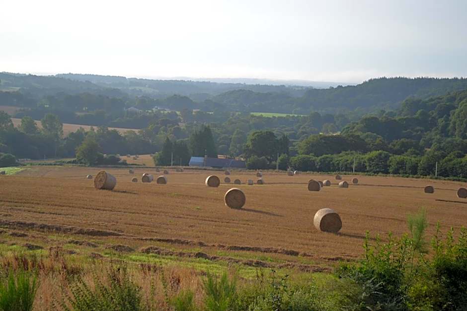 Le gîte de l'Araucaria