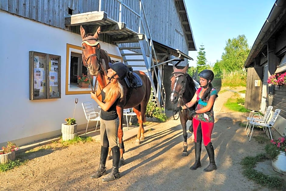 Familienhotel Reiterhof Runding