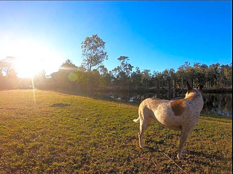 1770 Southern Cross Travellers Retreat