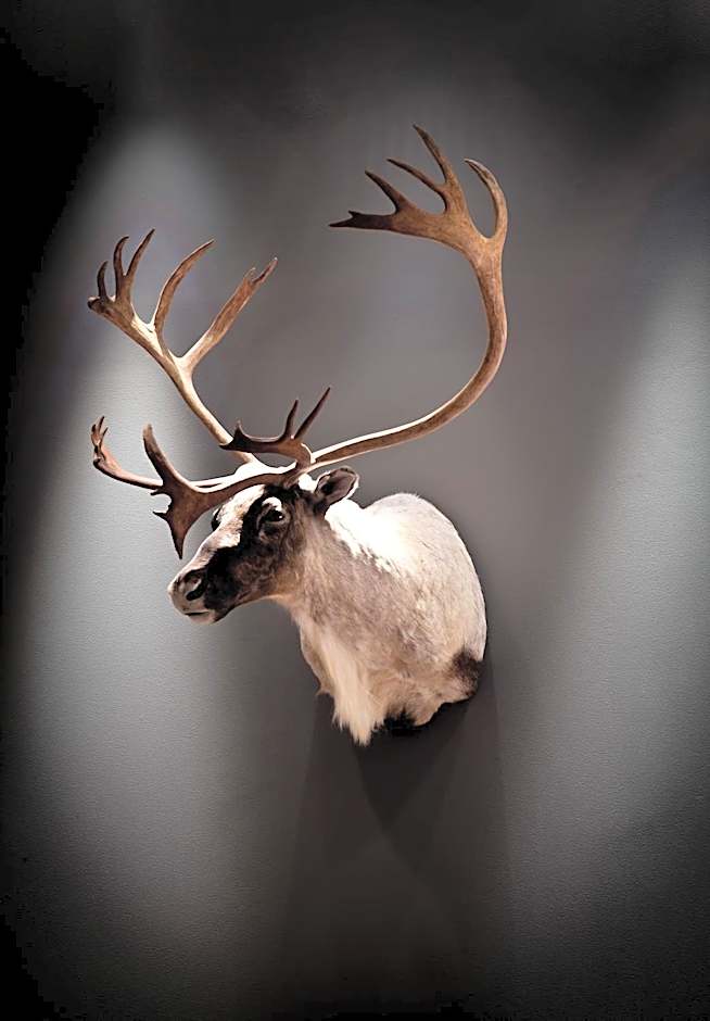 Quality Hotel Skifer