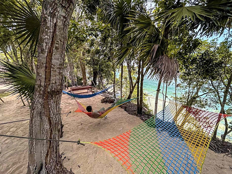 Bufo Alvarius Sanctuary Bacalar