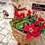 B&B Borgo San Martino