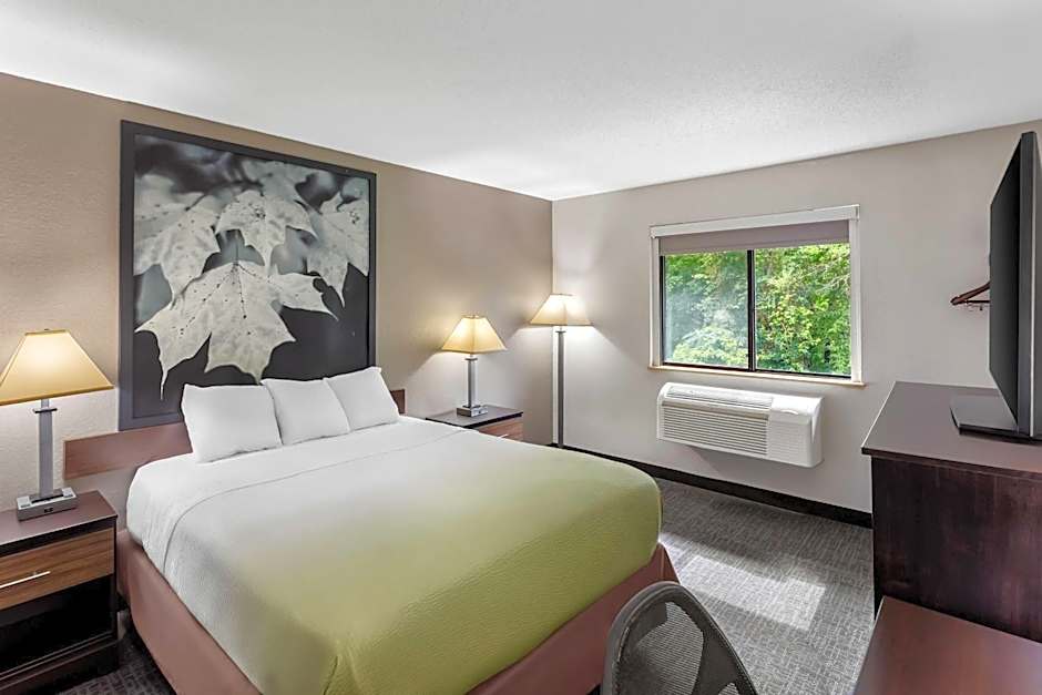 Super 8 by Wyndham Elkins