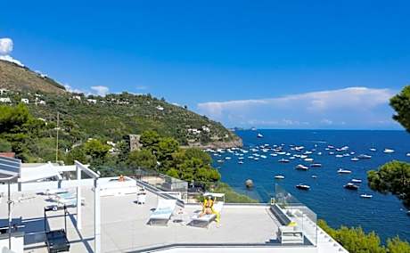 Villa Neranyum on the sea and with private pool 