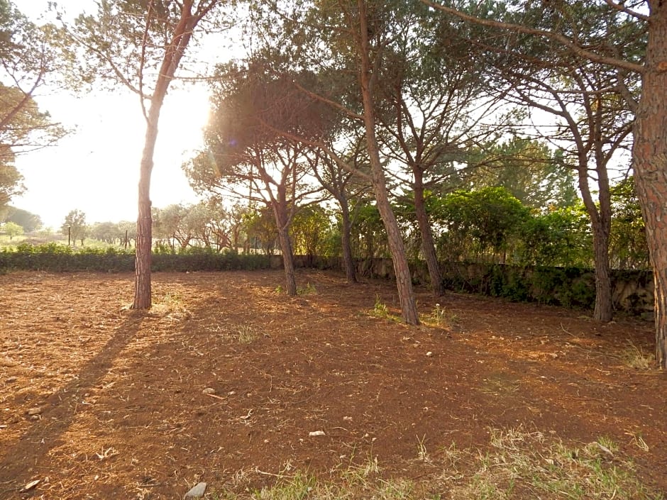 Turtle Island Apartments