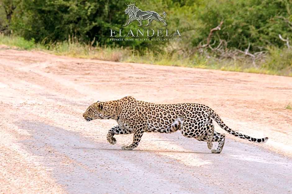 Elandela Private Game Reserve and Luxury Lodges Pty Ltd