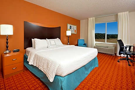 Studio, 1 King Bed with Sofa bed (1 King Bed and 1 Double Sofa Bed)