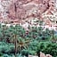 RIAD Camping ATLAS