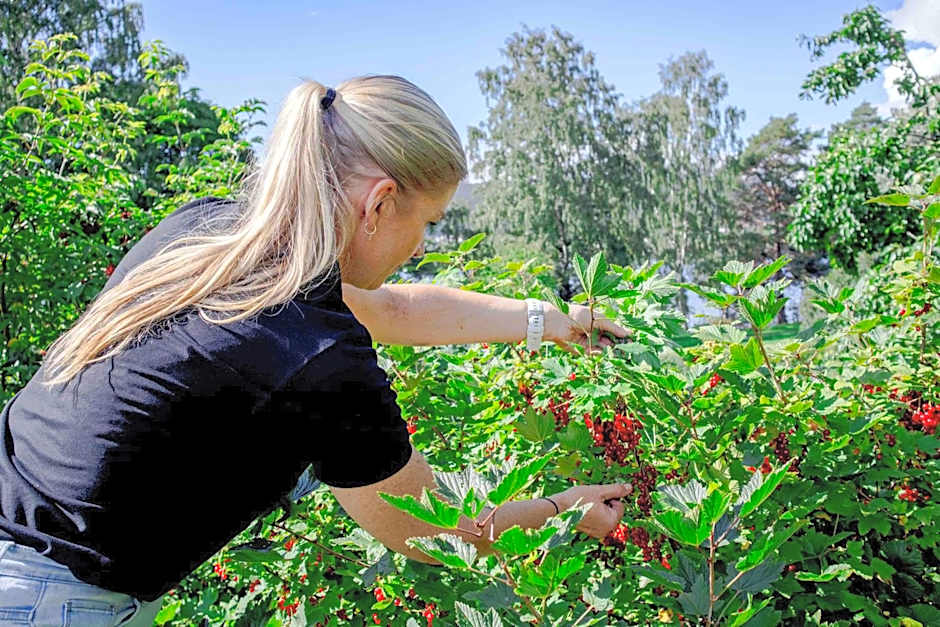 Thorbjørnrud Hotell