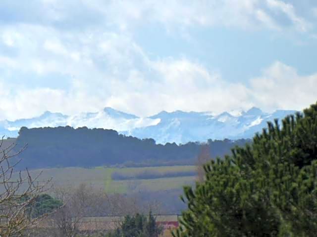 Les quatre saisons