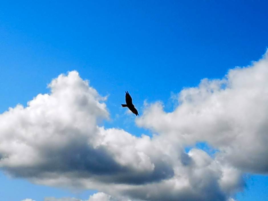 Upper Gilwern Quarry Hut