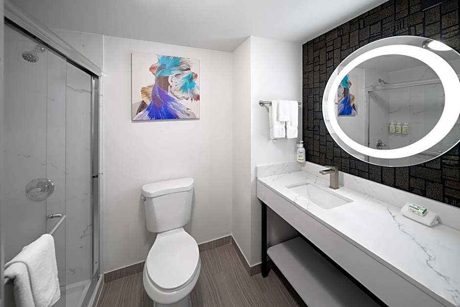 La Quinta Inn & Suites by Wyndham Houston Bush Iah South