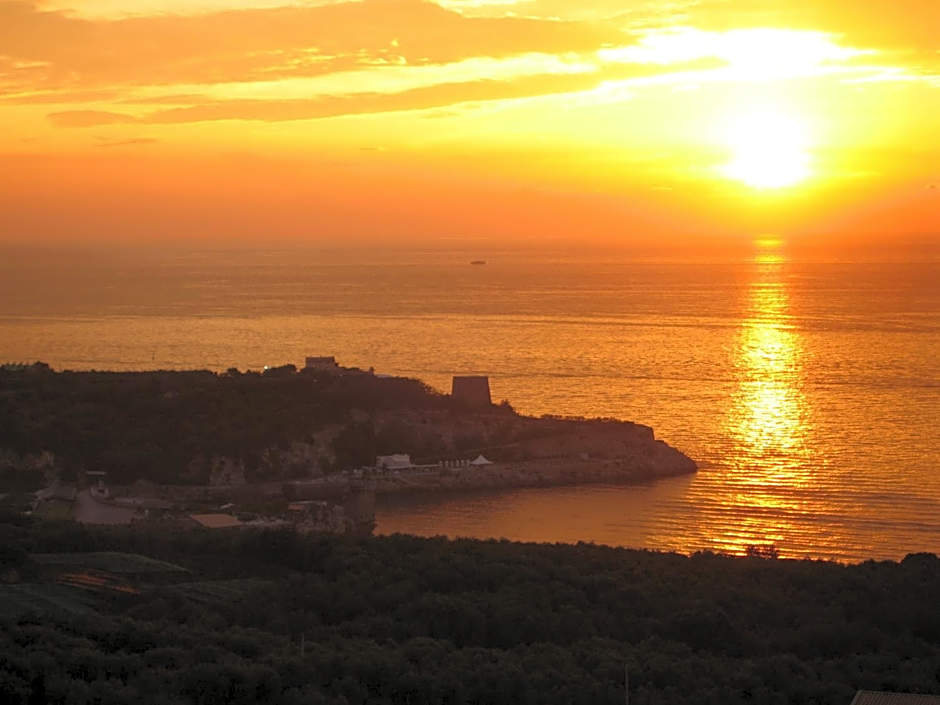Hotel Villa Igea