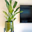 Chalet Agave