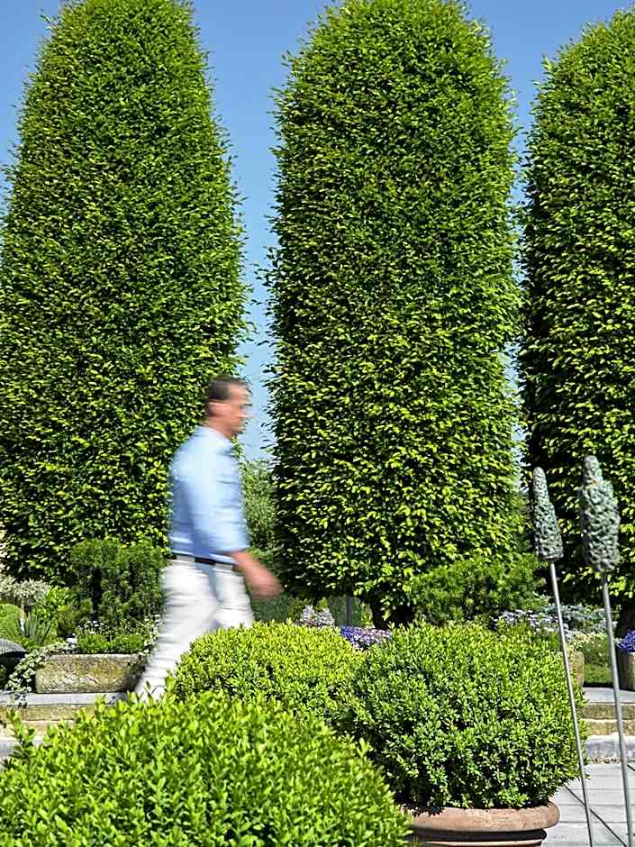 Romantik Parkhotel het Gulpdal