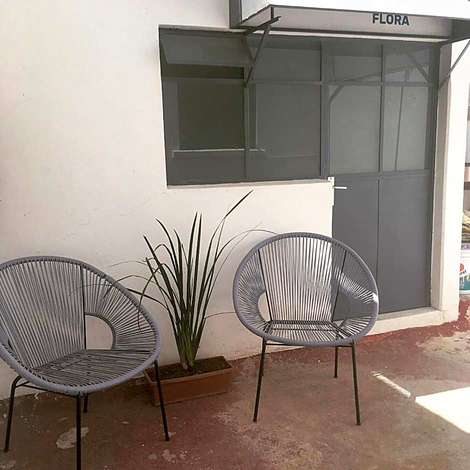 El Petate Hostel – Querétaro, TX