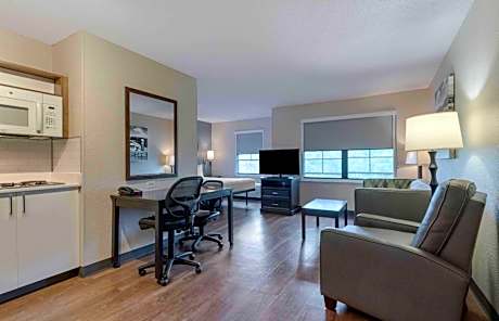 Deluxe Studio with 1 King Bed - Non-Smoking
