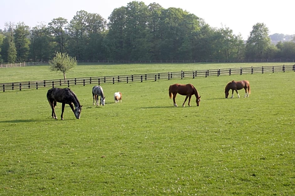 Chambres d'hôtes La Verrerie du Gast