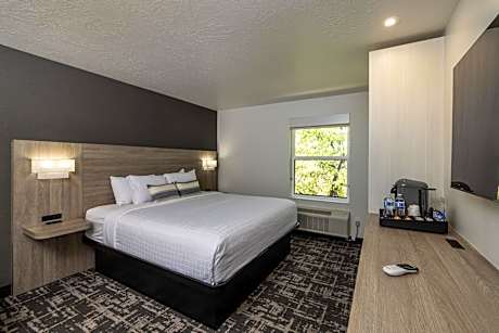 Signature King with Sofa Bed