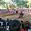 Budaya Kaki Rinjani