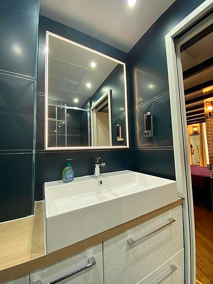 Beautiful mini Loft near Saint-Lazare