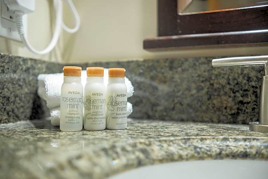 Forest Trails by Outpost Whistler