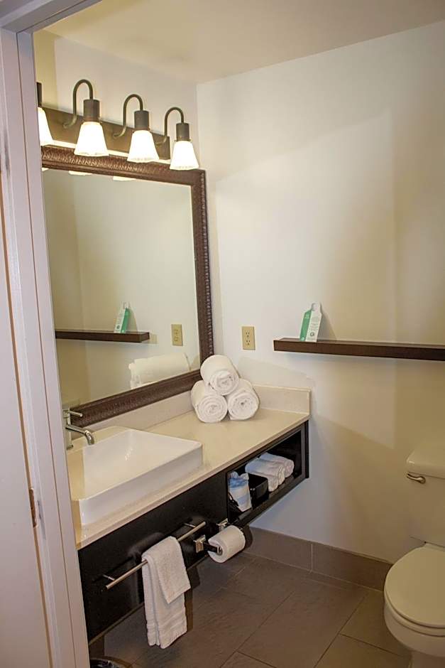 Country Inn & Suites by Radisson, Big Rapids, MI