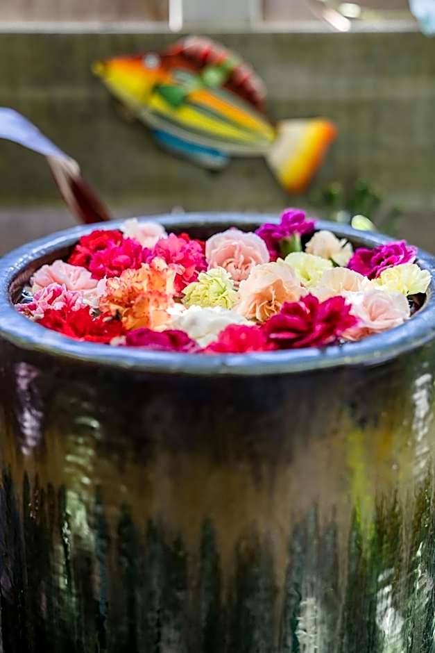 Buhwi Bira Byron Bay - Studio