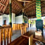 Green Coco Suite