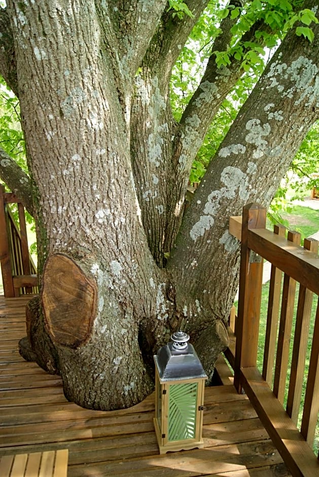 Les Cabanes de Gros Bois