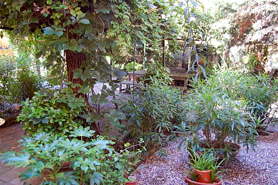 Arena Alfieri B&B