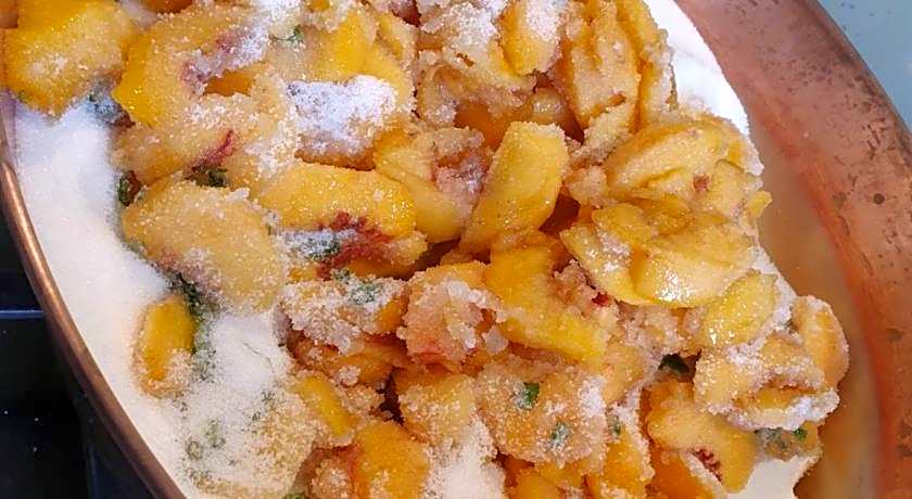 Chambres d'hotes Nuits Campagnardes