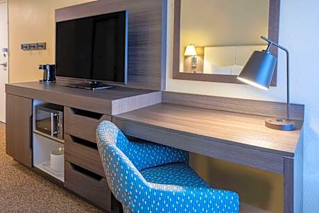 One-Bedroom King Suite with Fireplace - Non-Smoking