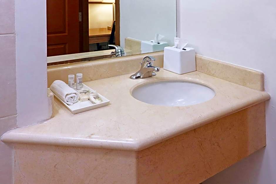 Wyndham Garden Monterrey Valle Real