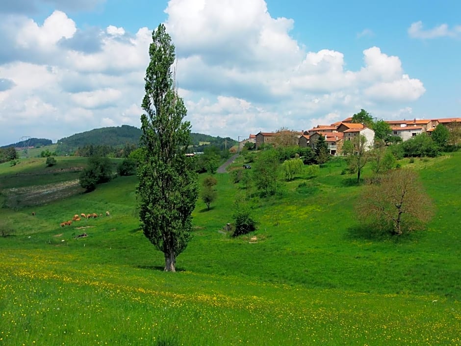 Le Vallon d'Armandine, gîte écologique Auvergne