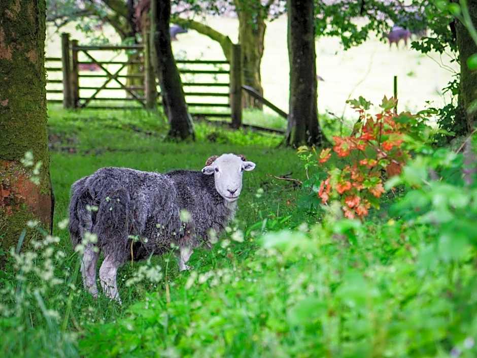 YHA Eskdale