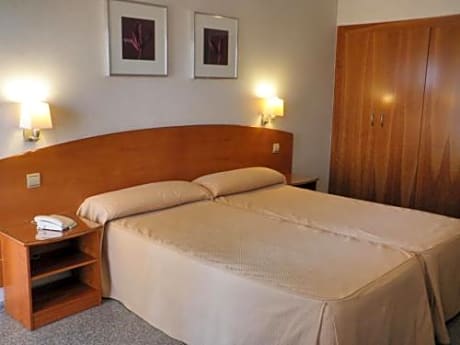 Double or Twin Room with Terrace