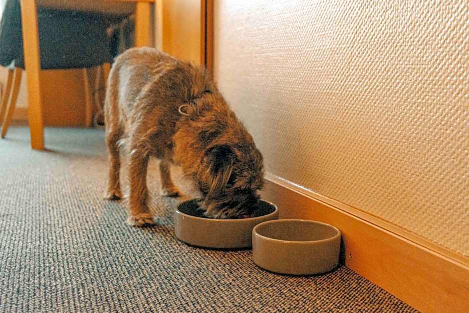 Thorbjørnrud Hotell