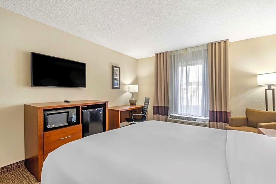 Comfort Inn & Suites St. Pete - Clearwater International Airport