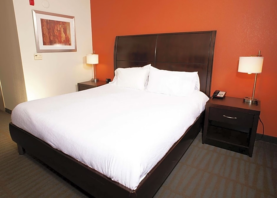 Hilton Garden Inn Springfield, IL