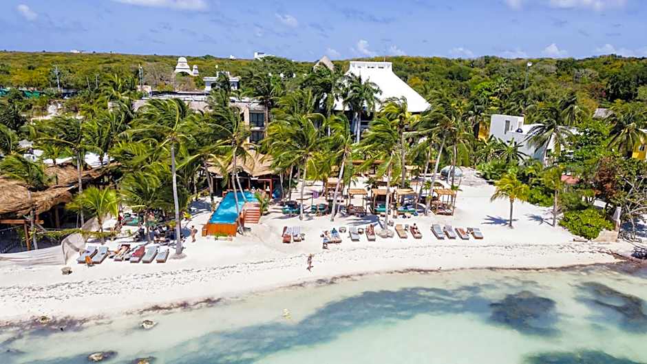 Mayan Monkey Isla Mujeres - Social Hotel