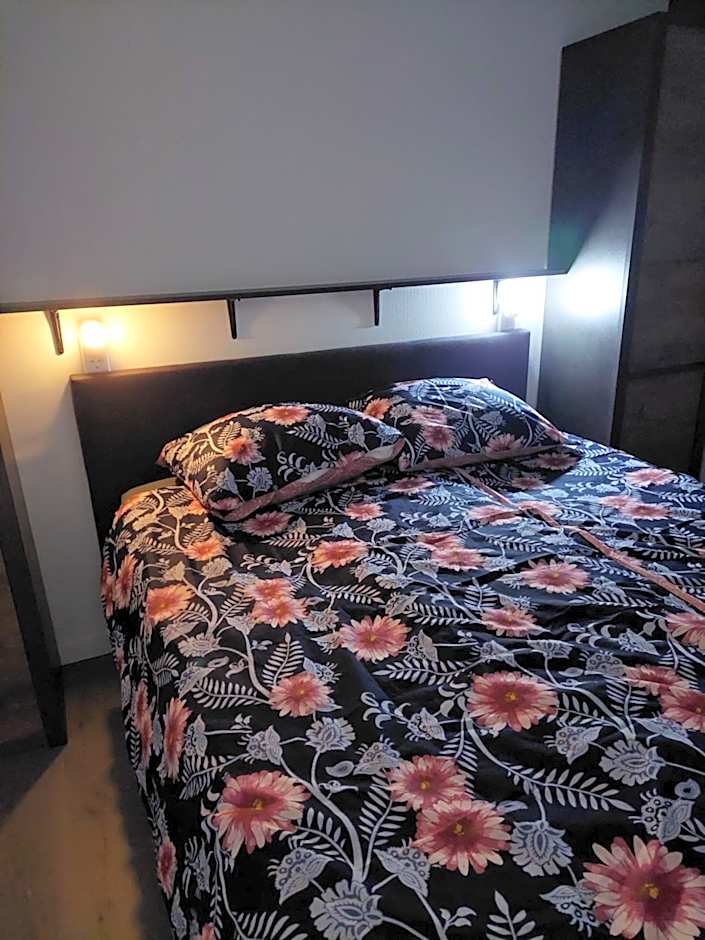 Chalet Moderna Putten