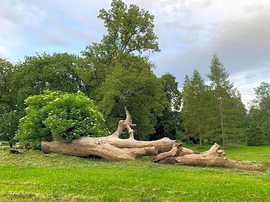 Blankenfeldes muiža