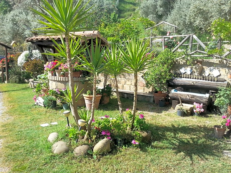 Agriturismo L'Uliveto