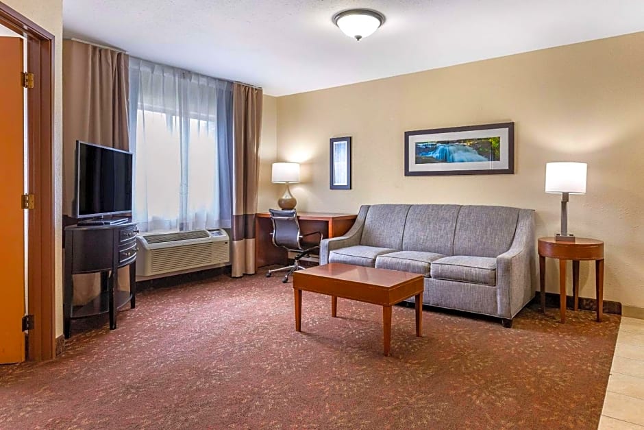 Comfort Inn Okemos