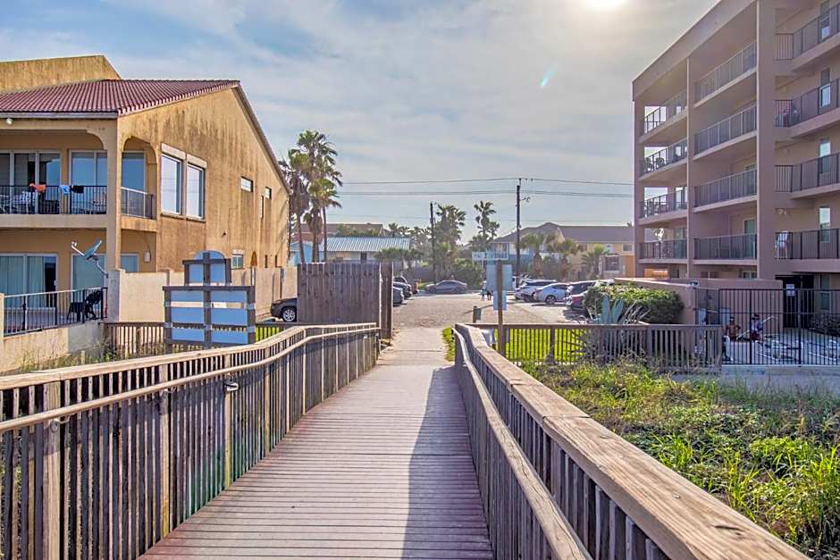 Seagull's Landing By The Ocean