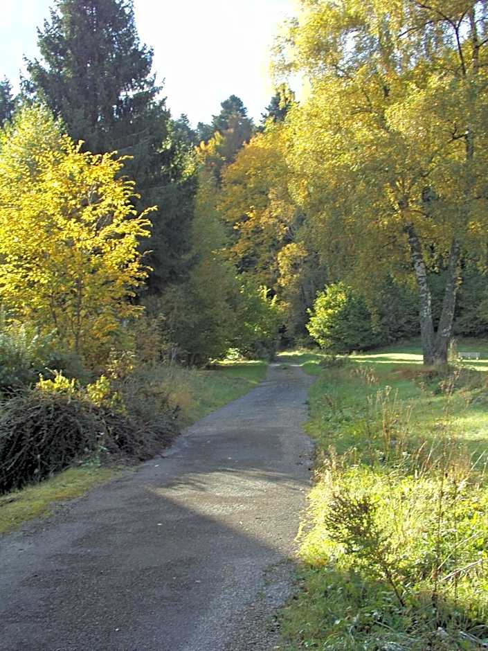 Hotel-Spa & Restaurant Logis Domaine Langmatt