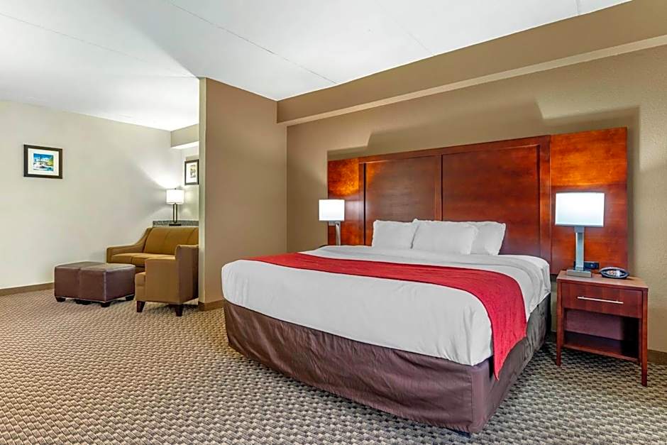 Comfort Suites Smyrna - Nashville Area
