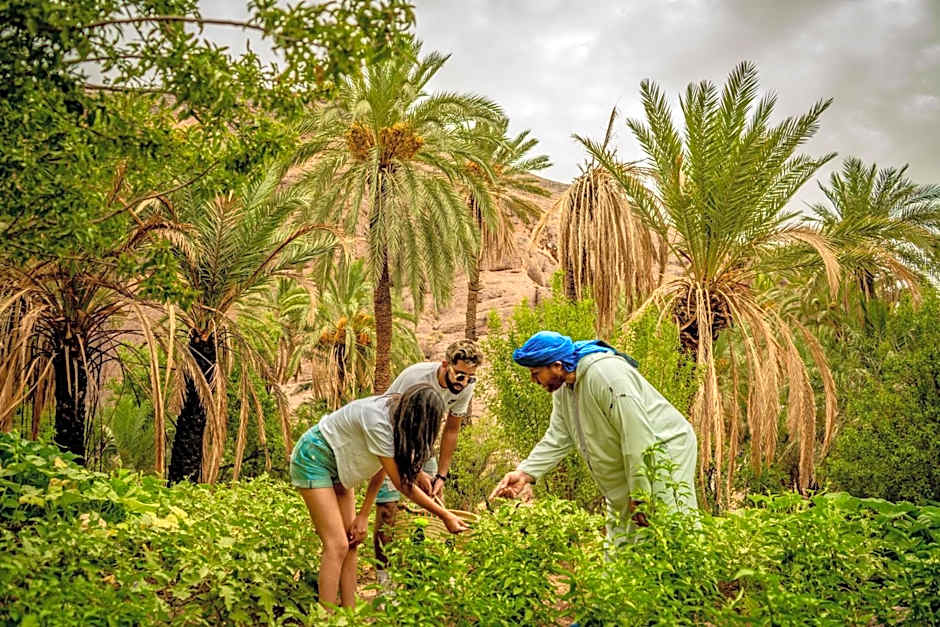 Ouednoujoum Ecolodge & Spa